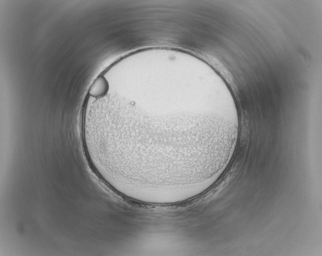 X0000115780958200912111124