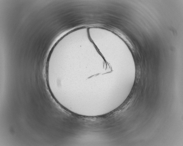 X0000115780959200912111124