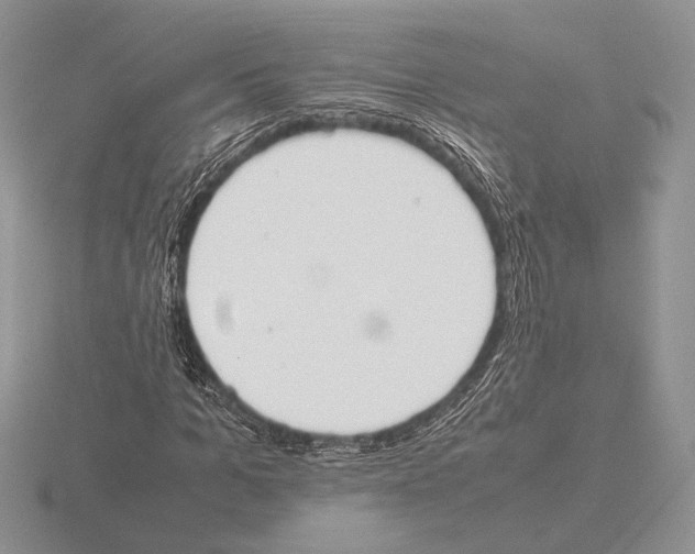 X0000115780965200912111124