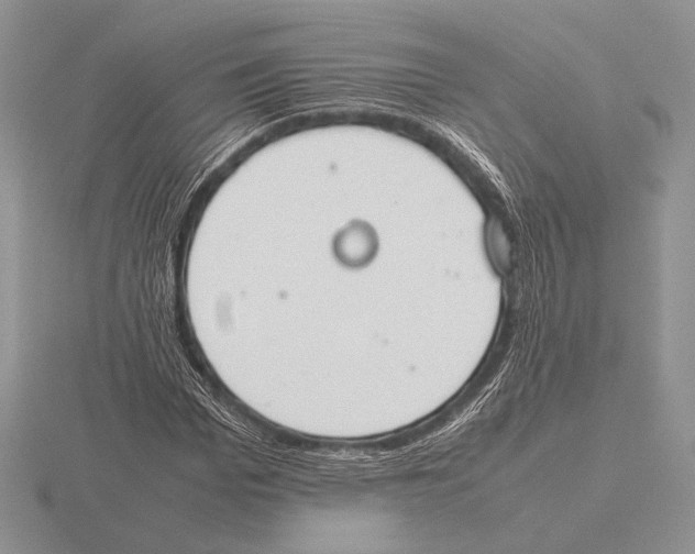 X0000115780969200912111124