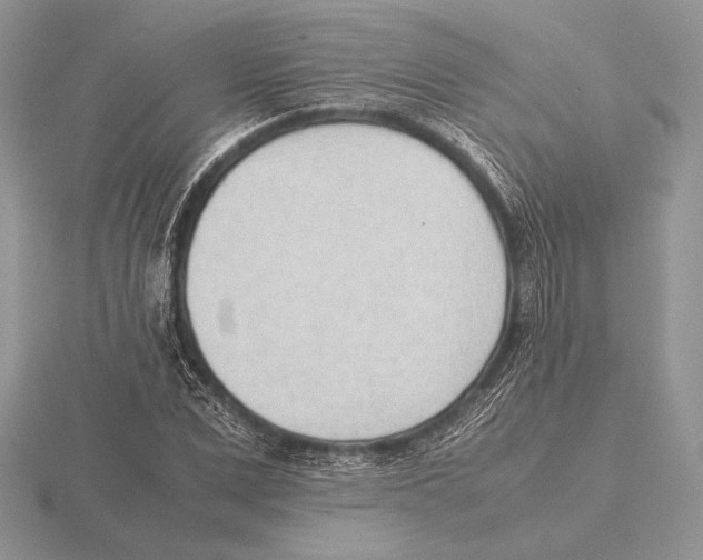 X0000115780975200912111124