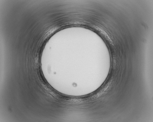 X0000115780977200912111123