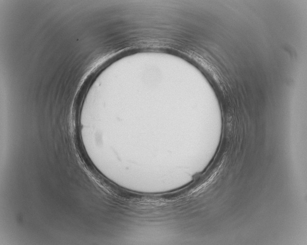 X0000115780981200912111123