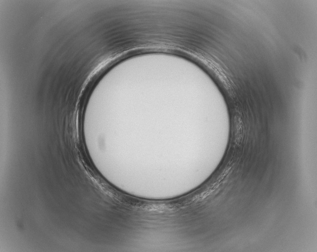 X0000115780982200912111123