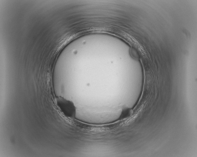 X0000115780985200912111123