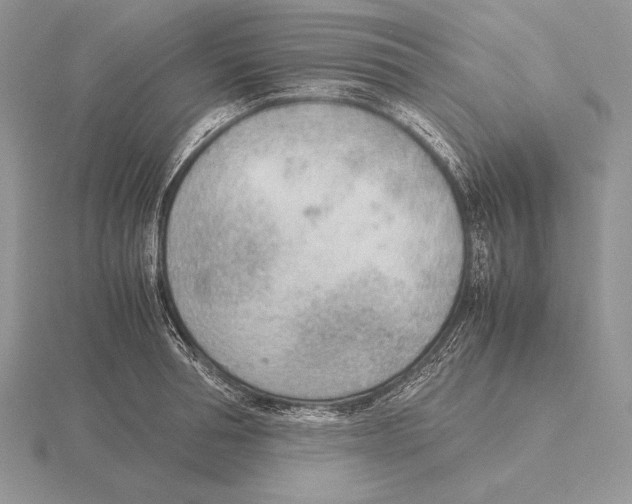 X0000115780994200912111123