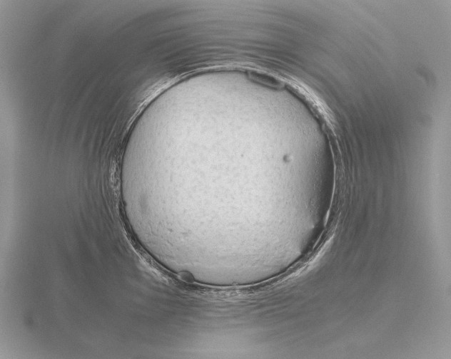 X0000115781001200912111123