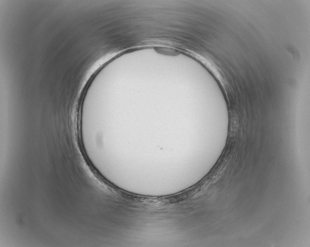 X0000115781003200912111123