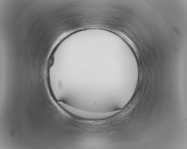 X0000115781005200912111123