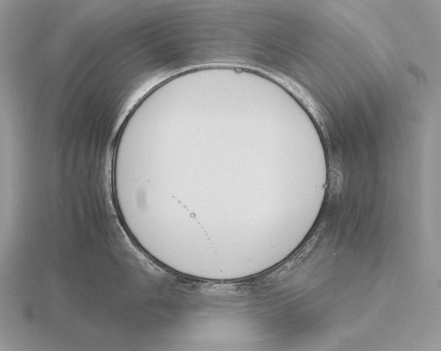 X0000115781006200912111123