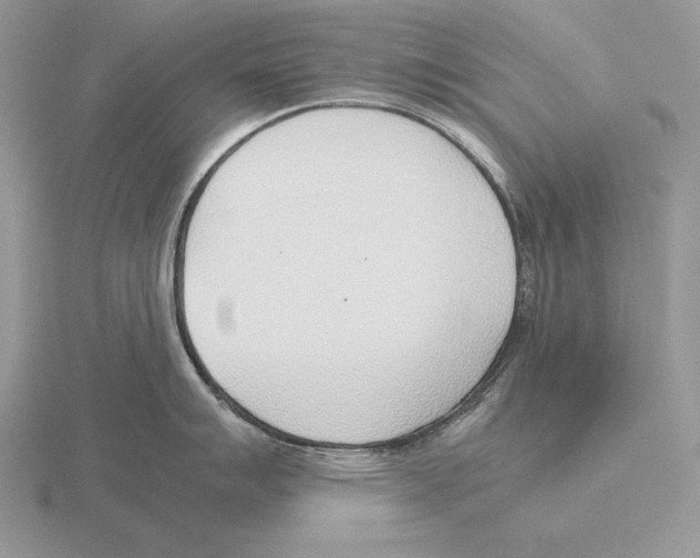 X0000115781007200912111123