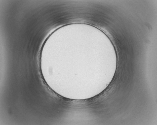 X0000115781008200912111123