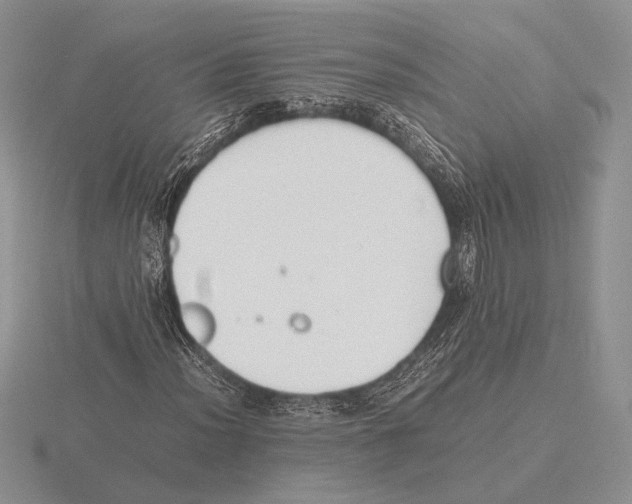 X0000115781012200912111123