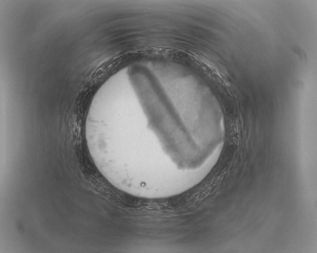 X0000115781013200912111123