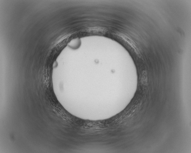 X0000115781015200912111123