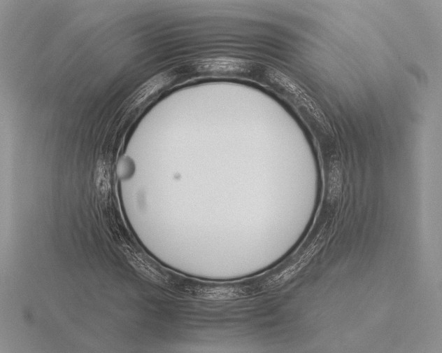 X0000115781017200912111123