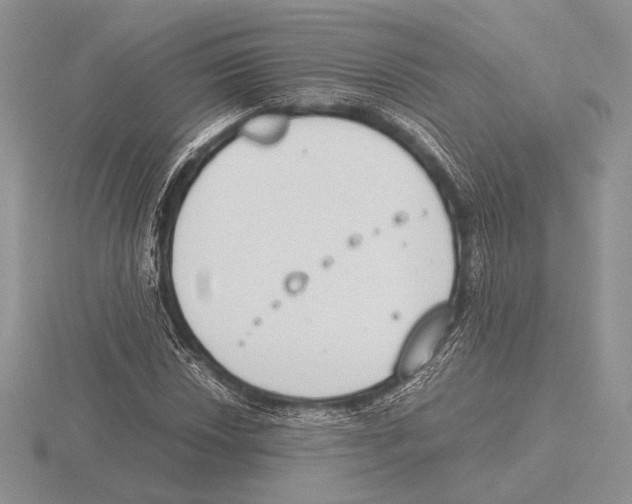 X0000115781018200912111123