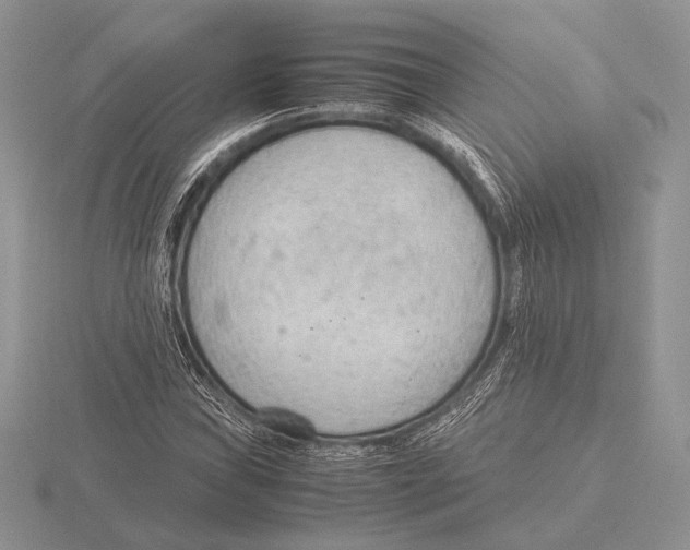 X0000115781019200912111123