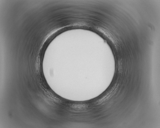 X0000115781021200912111123