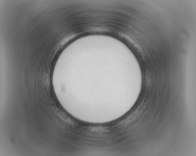 X0000115781025200912111123