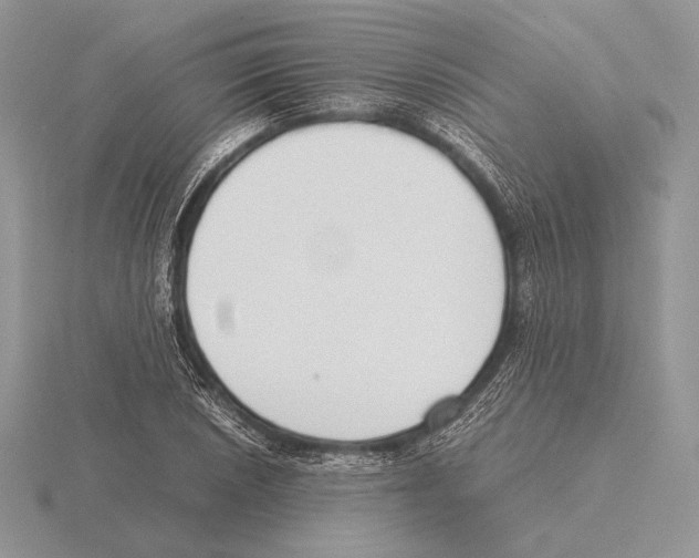 X0000115781026200912111123