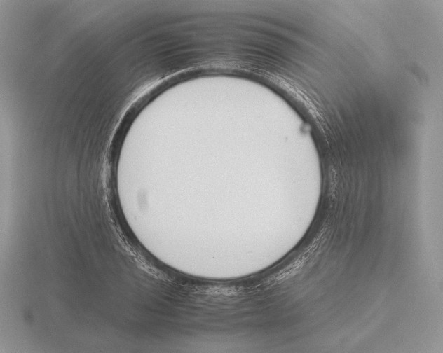 X0000115781029200912111123