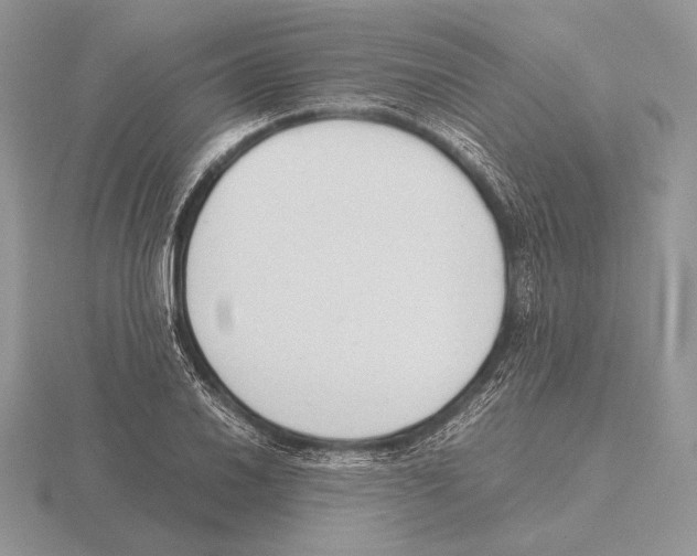 X0000115781030200912111123