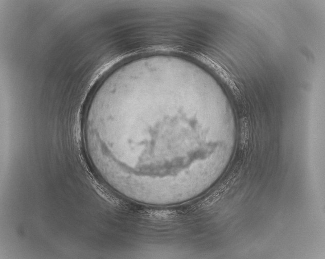 X0000115781031200912111123