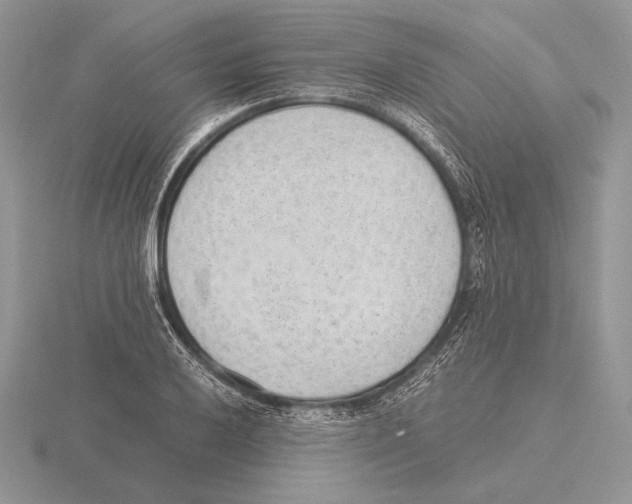 X0000115781032200912111123