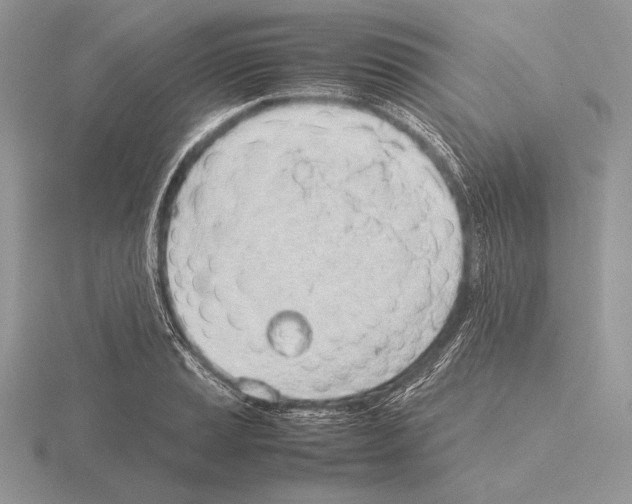 X0000115781037200912111123