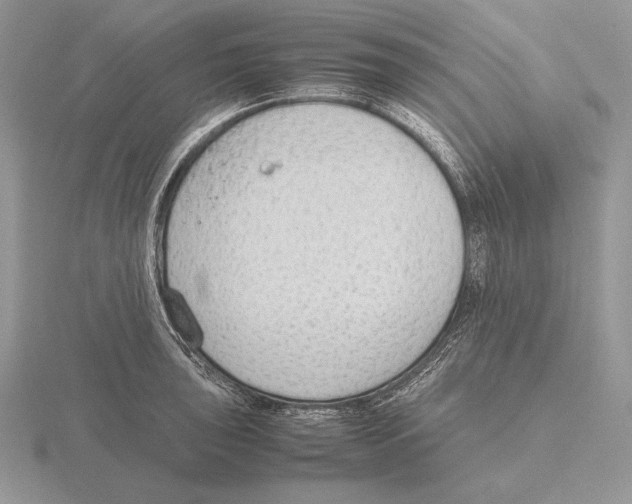 X0000115781043200912111123