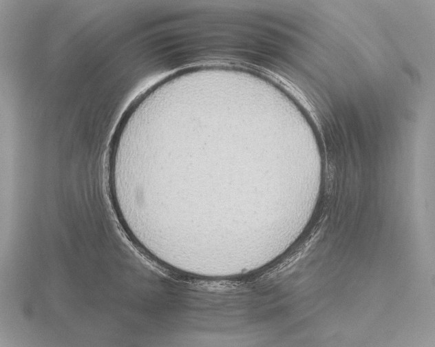 X0000115781045200912111123