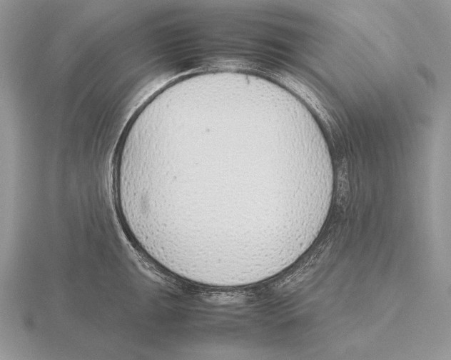 X0000115781047200912111123