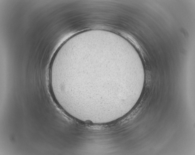 X0000115781048200912111123