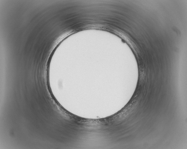 X0000115781050200912111123