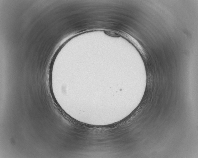 X0000115781051200912111123