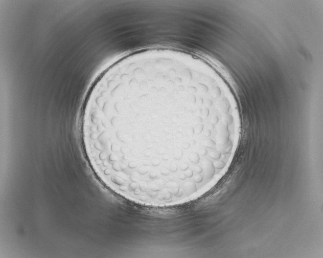 X0000115781053200912111123