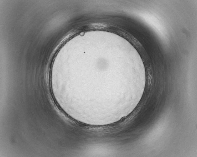 X0000115781054200912111123