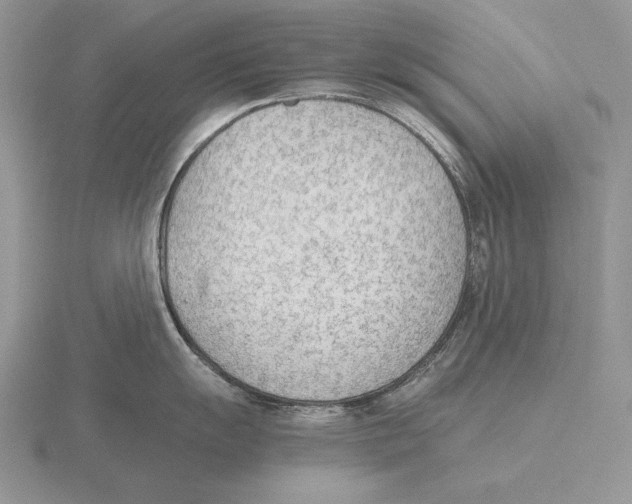 X0000115781055200912111123