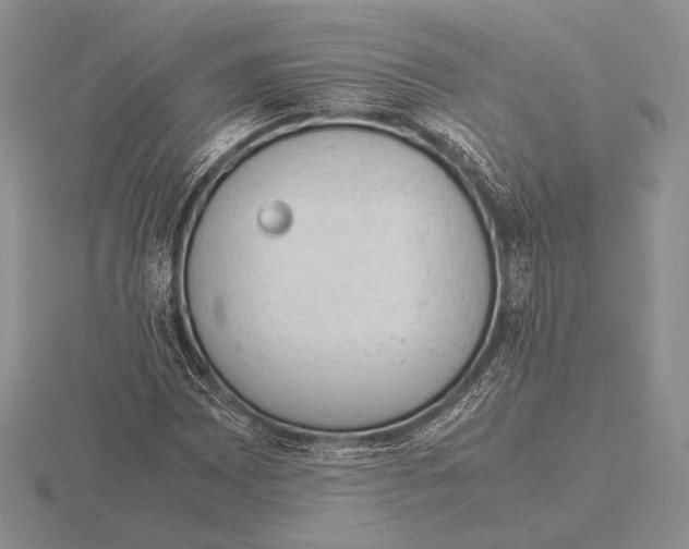 X0000115781065200912111122