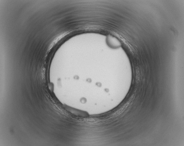 X0000115781066200912111122