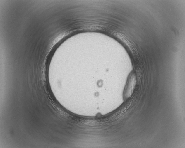 X0000115781071200912111122