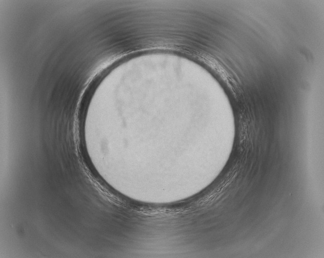 X0000115781072200912111122