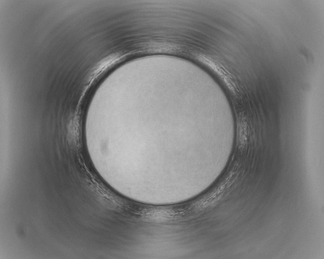 X0000115781074200912111122