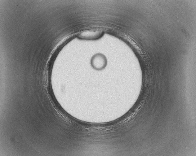 X0000115781075200912111122