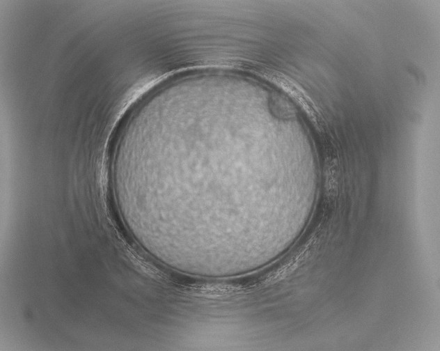 X0000115781077200912111122