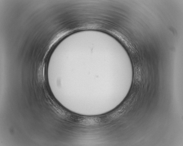 X0000115781078200912111122