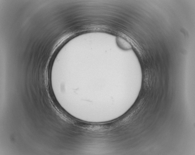 X0000115781082200912111122