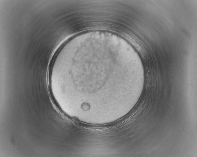 X0000115781084200912111122