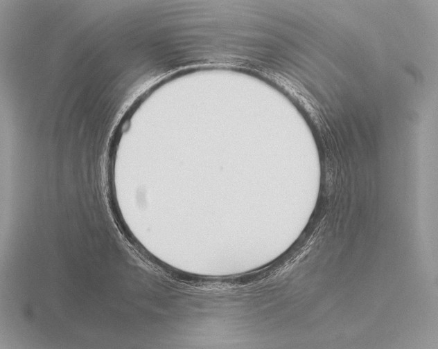 X0000115781085200912111122